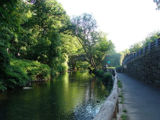 A stretch of the Bronx River Parkway near Scarsdale, N.Y. (Photo by Audrey Lynne Shares/flickr)