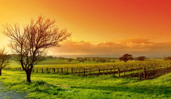 Dreamstime
