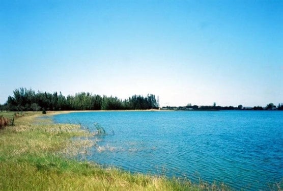 Amelia Earhart Park (Photo by Wikimedia)