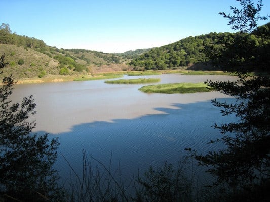 Lake Chabot. (Photo by sfbaywalk/flickr)