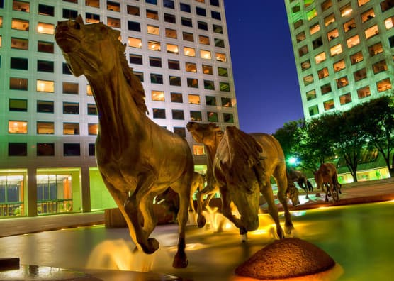The Mustangs at Las Colinas. (Photo by Marco Becerra/flickr)