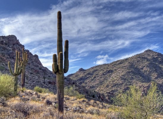 White Tank Mountains Regional Park. (Photo by Jan Pauw/flickr)