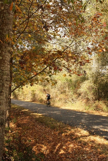 Cyclist on the St. Marks Trail in Tallahassee, Fla. (Photo by Capital City to the Sea Trail/flickr)