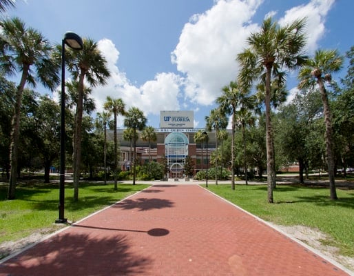 The Gator Walk to Ben Hill Griffin Stadium. (Photo by Gainesville Apts/flickr)