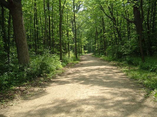 A stretch of the Des Plaines River Trail in Lake County, Illinois. (Photo by Dave Piasecki/Wikimedia)