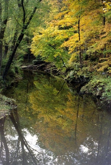 Grassy Creek in the Crab Orchard National Wildlife Refuge (U.S. Fish & Wildlife Service/flickr)