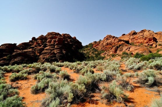 A view of Snow Canyon State Park near St. George, Utah. (Photo by John Buie/flickr)