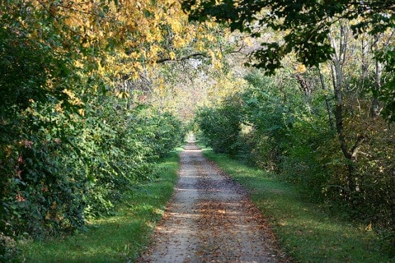 A stretch of the Great Western Trail in Kane County, Illinois. (Photo by Ryan Afflerbaugh/flickr)