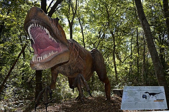 heard museum dinosaurs
