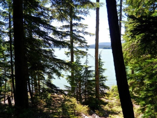The view from the shoreline of Timothy Lake, Oregon. (Photo by Aric Riley/flickr)