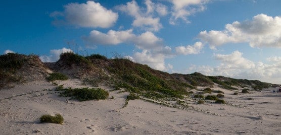 Sand dunes on Padre Island National Seashore, Texas. (Photo by monad68/flickr)