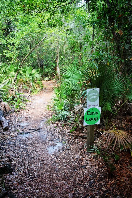 The River Loop trail in Alafia River State Park, Florida. (Photo by Global Reactions/flickr)