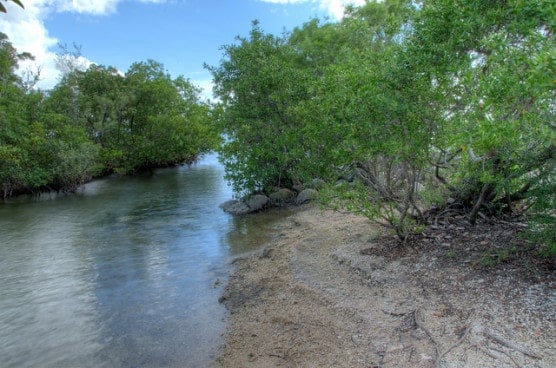 A stretch of the Oleta River that flows through Oleta River State Park in North Miami Beach, Florida. (Photo by Edoardo P./flickr)