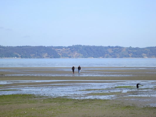 Strolling at low tide along the shoreline of Dash Point State Park near Tacoma, Washington. (Photo by Ruth Hartnup/flickr)