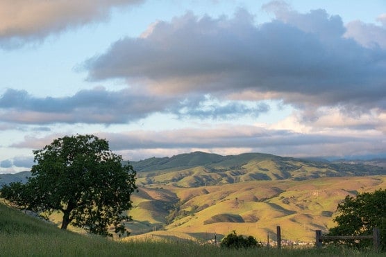 Santa Teresa County Park near San Jose, California. (Photo by Don DeBold/flickr)