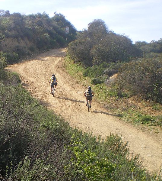 Mountain bikers on the trails in Marvin Braude Mullholland Gateway Park. (Photo by Wikimedia)