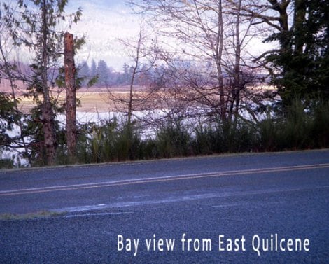 12-east-quil1