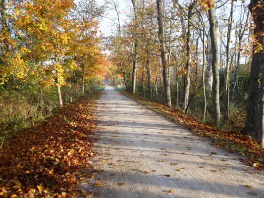 Courtesy Towpath Marathon