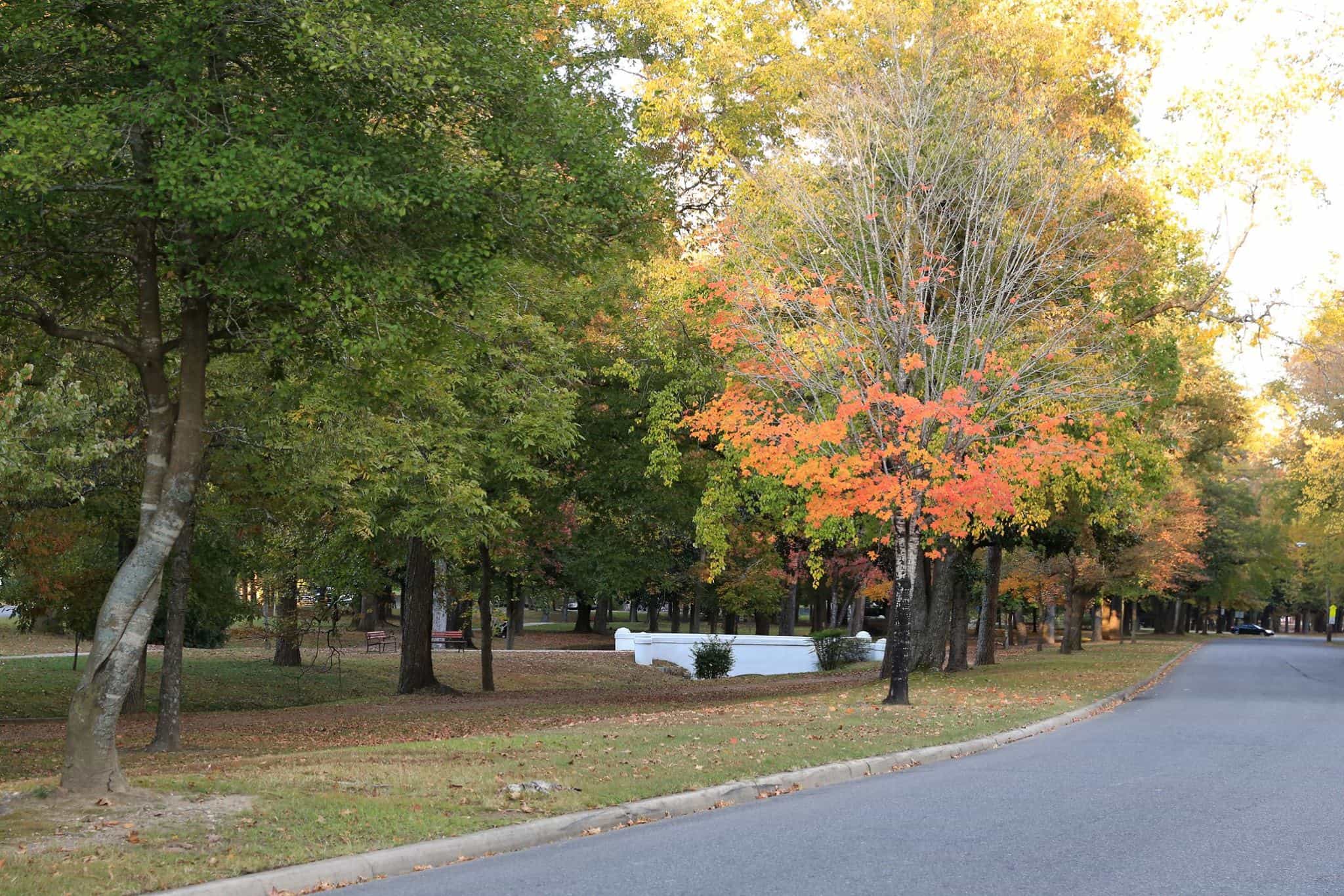 Whittington Park
