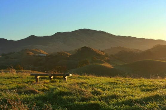 Dawn in the Mount Diablo foothills. (Photo by John Morgan/flickr)