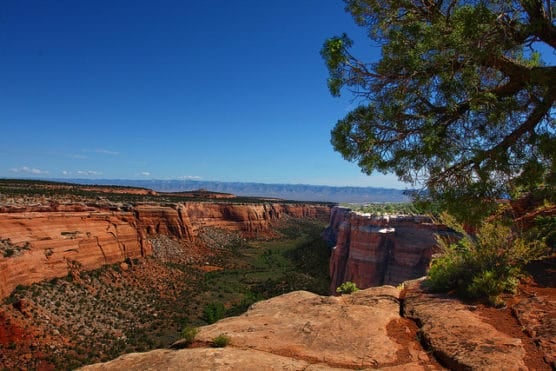 Scene inside Colorado National Monument. (Photo by Rennett Stowe/flickr)