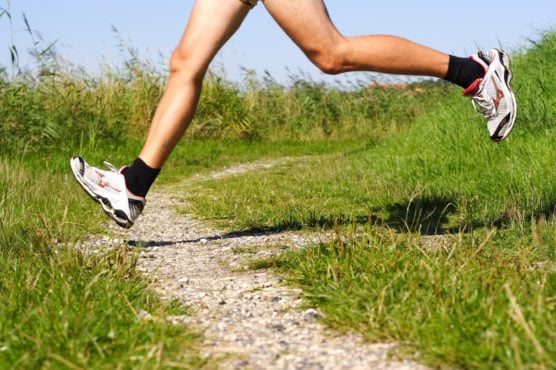 The Secret of Successful What is the length of the marathon distance