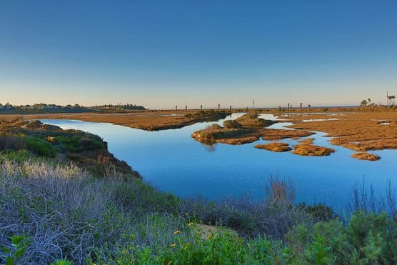 san_elijo_lagoon