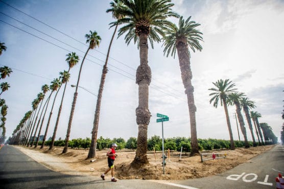 Runners make their way through the California Citrus State Historical Park during the second annual Citrus Heritage Run presented by the Riverside Road Runners in Arlington Heights Sports Park in Riverside, Saturday, Jan. 6, 2018. (Eric Reed/For The Press Enterprise/SCNG)