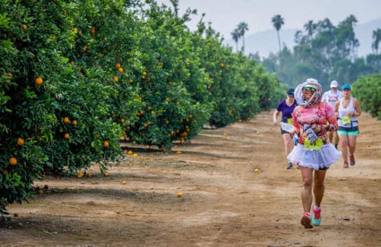 Runners make their way through the California Citrus State Historical Park during the second annual Citrus Heritage Run presented by the Riverside Road Runners in Arlington Heights Sports Park in Riverside, Saturday, Jan. 6, 2018. (Eric Reed/For The Press Enterprise/SCNG)
