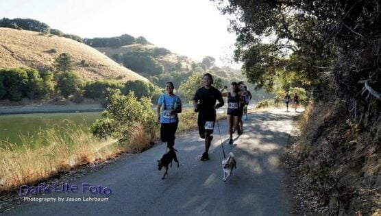 Runners on the course at the Rock the Loch Half Marathon in Castro Valley, Calif.