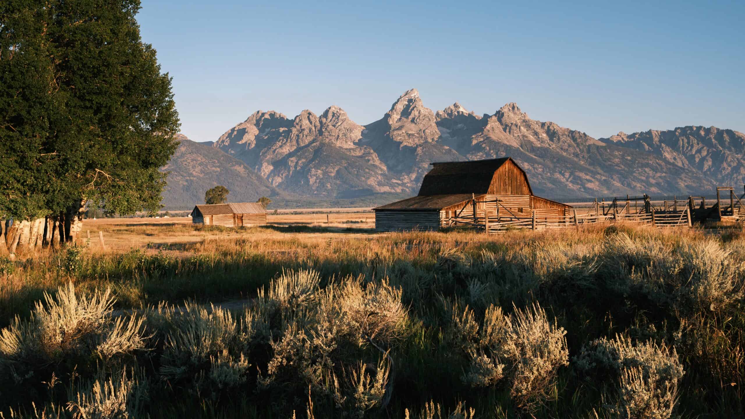 The Grand Teton National Park of the half marathons worth traveling for.