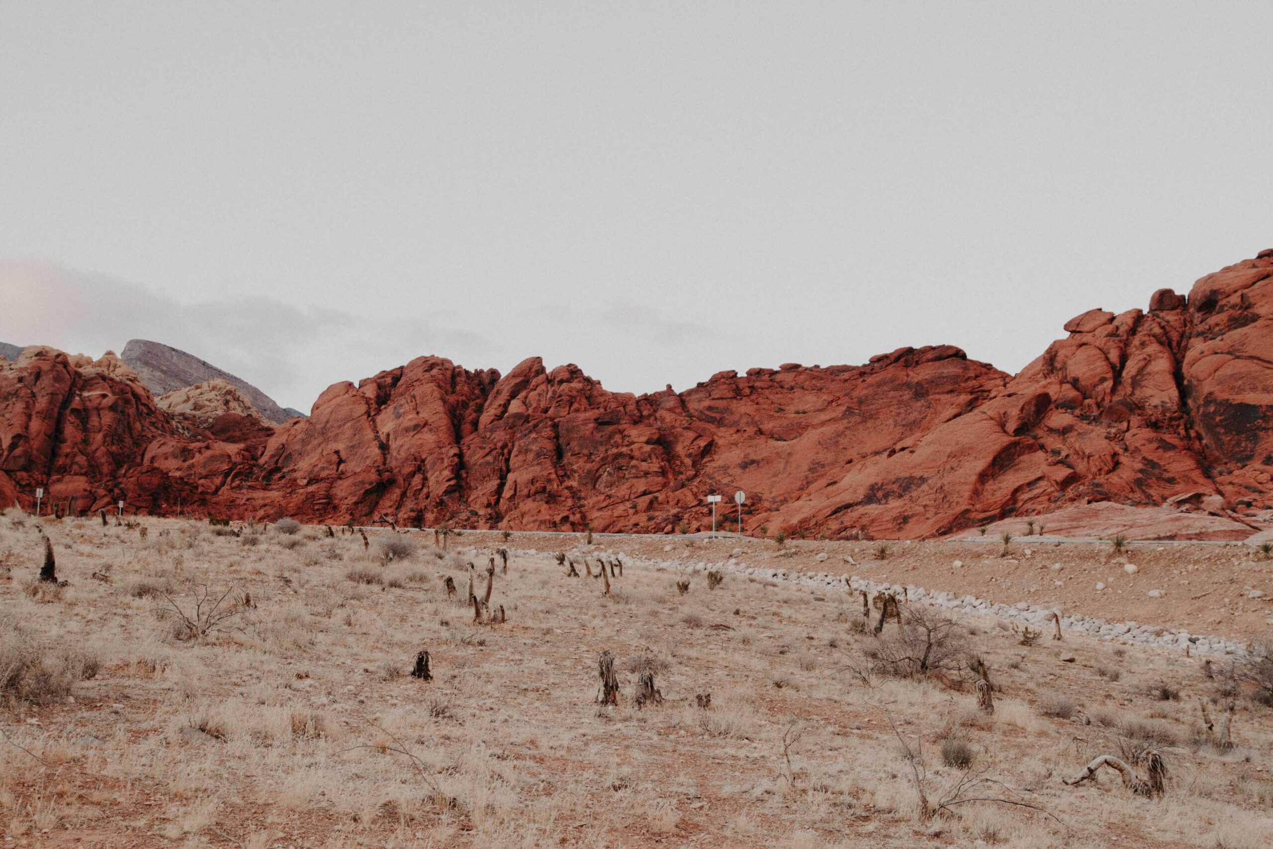 Red Rock Las Vegas half marathon a half marathon worth traveling for