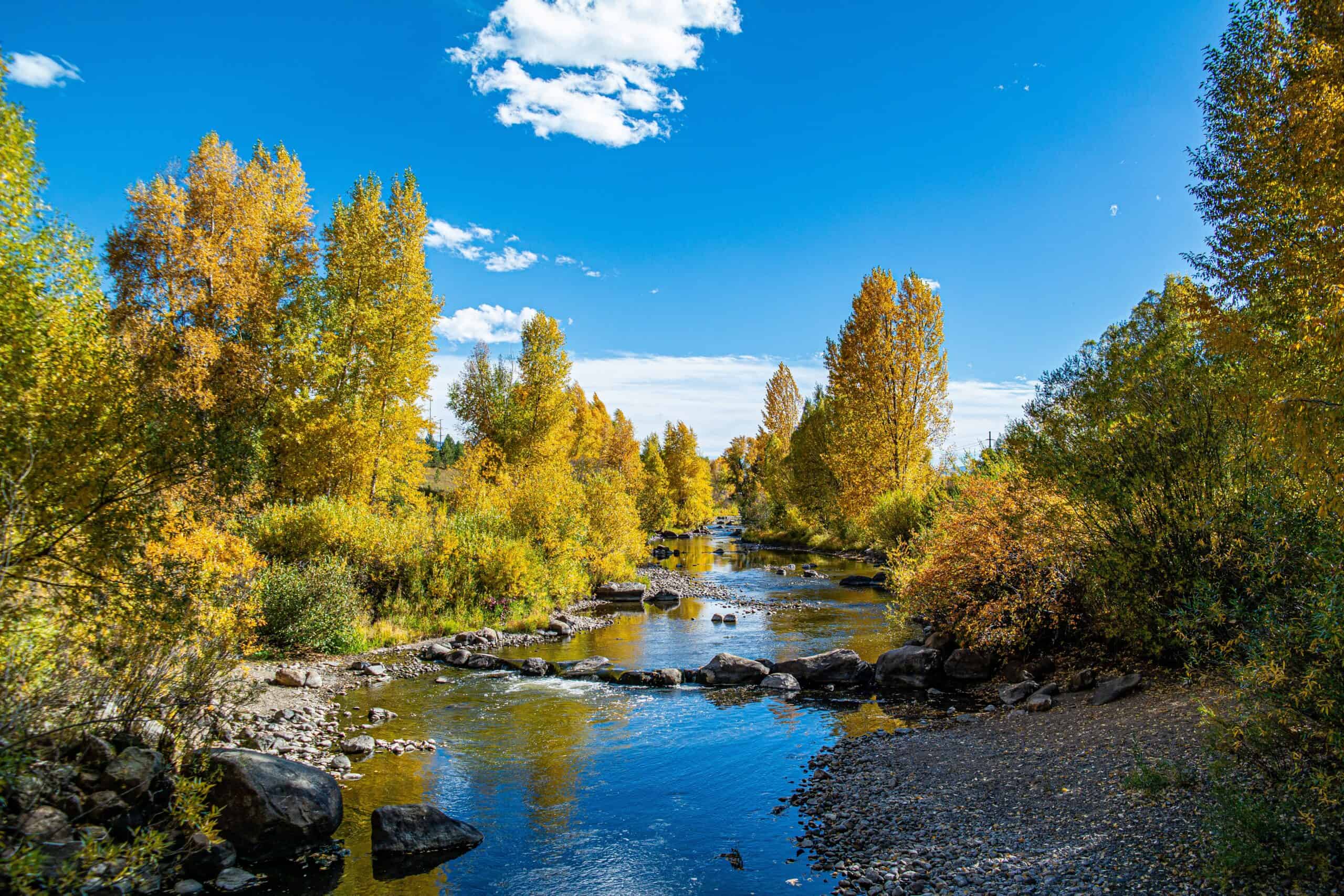 Colorado's Steamboat Springs half marathon