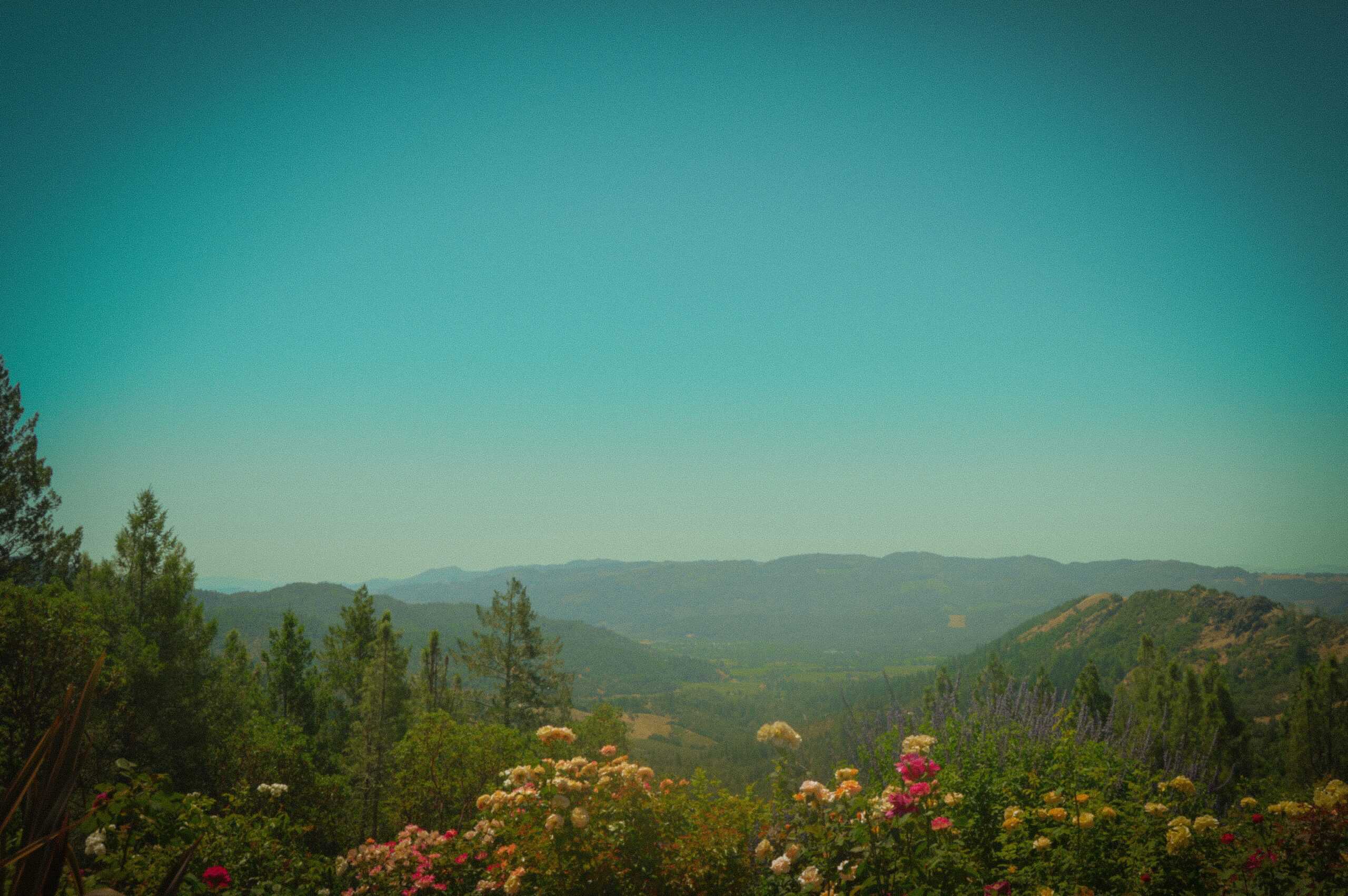 Napa-to-Sonoma view from Napa a half marathon worth traveling for.