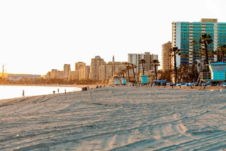 2024 Long Beach Marathon & Half Marathon Half Marathon Guide