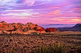 The Red Rock Canyon landscape