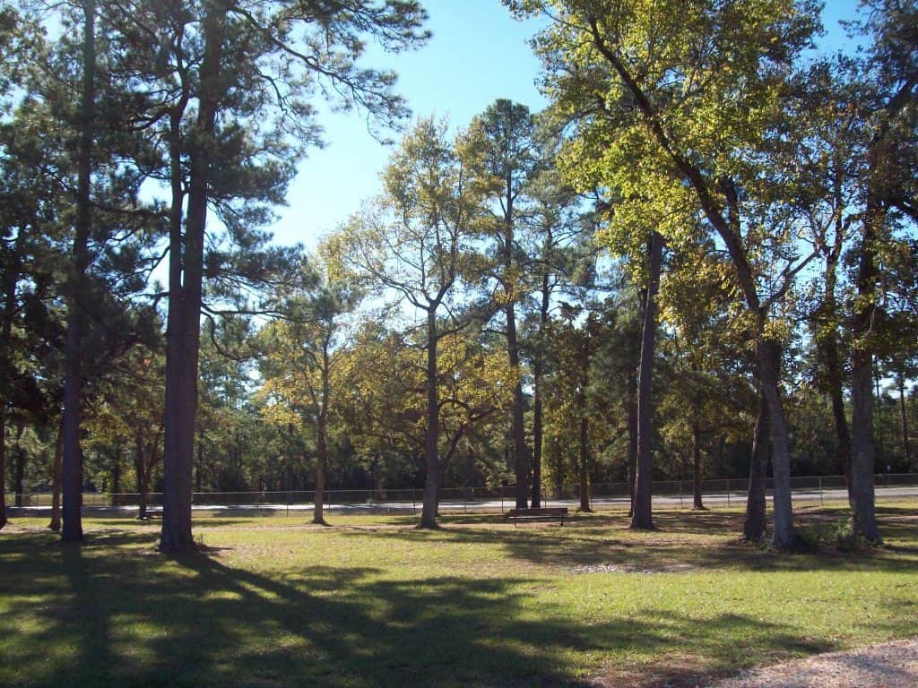 Alexander Deussen Park