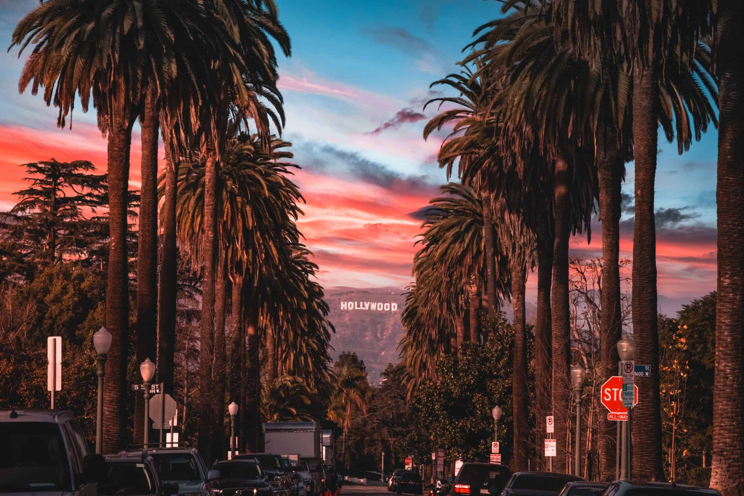 The palm tree lined hills of the best spring marathons the Los Angeles Marathon.