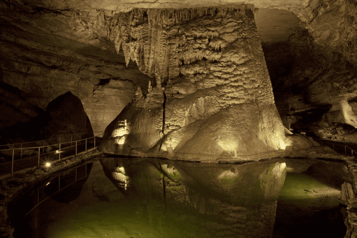Race to the Cave Half Marathon & 10k in Woodville, AL