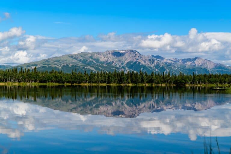20242025 Alaska Half Marathons Race Calendar