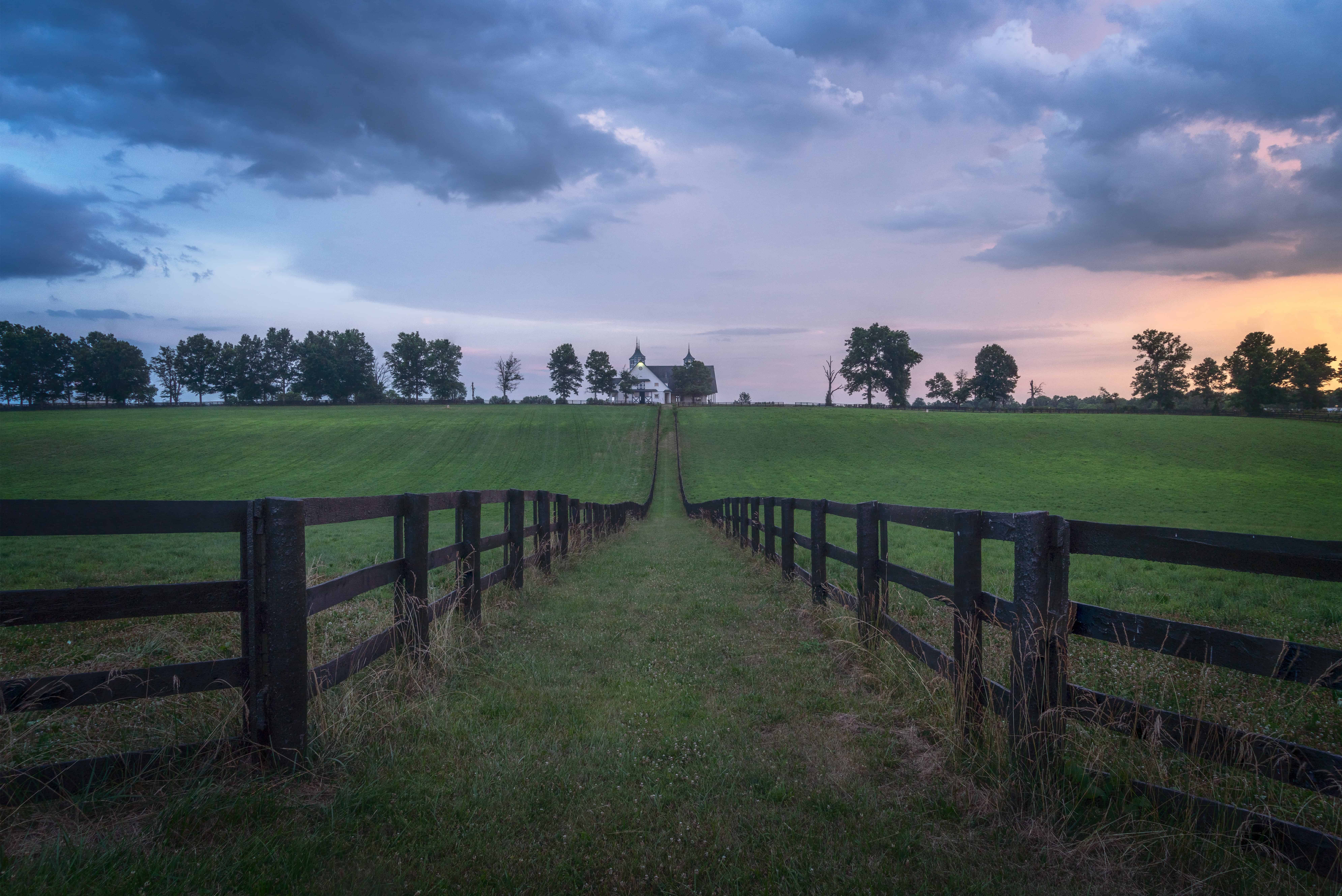 Run the Bluegrass Half Marathon in Lexington, Kentucky