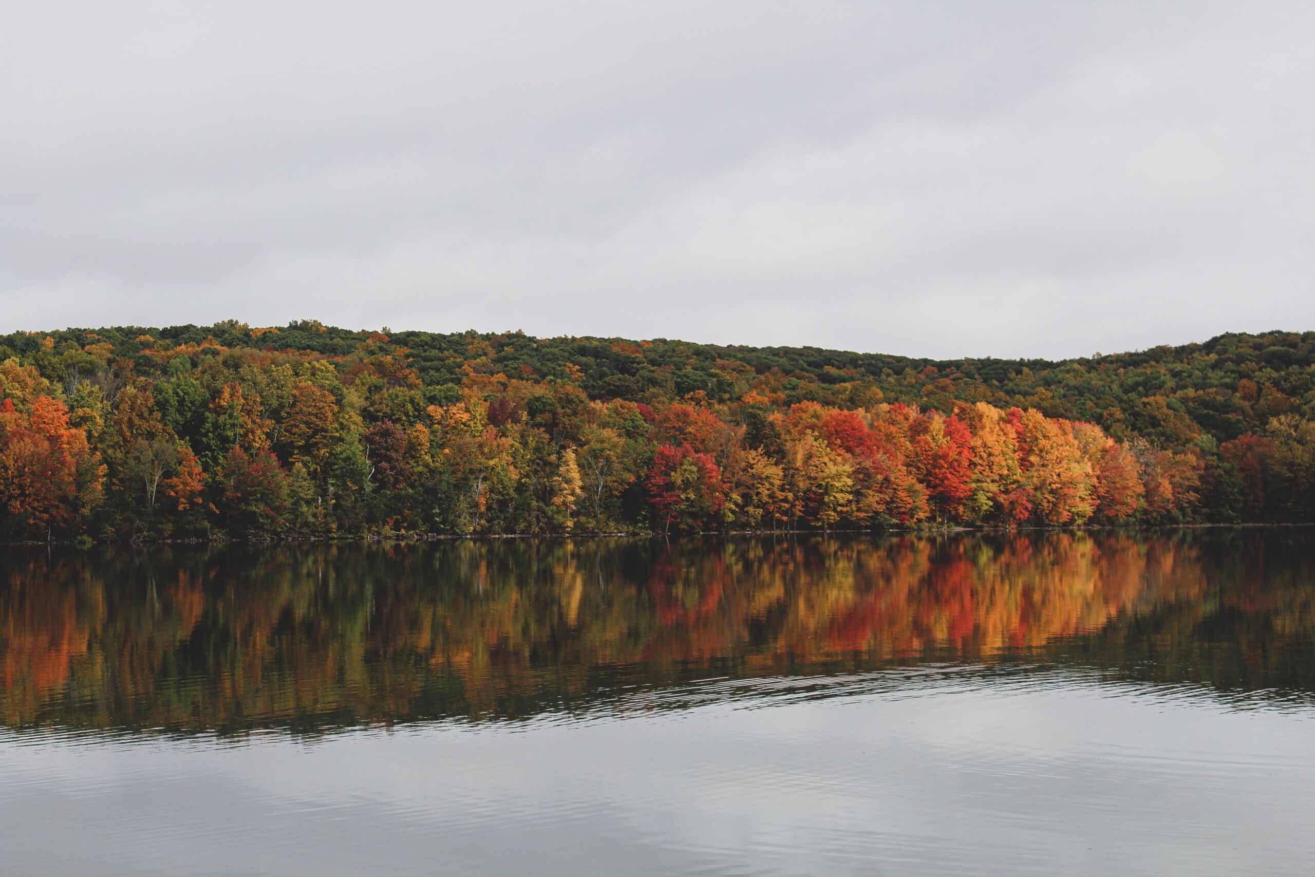 20242025 Connecticut Half Marathons Race Calendar