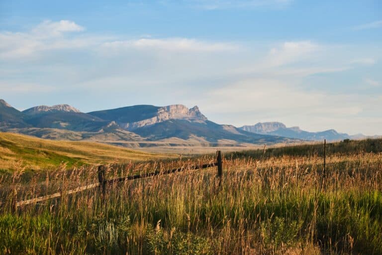 20242025 Montana Half Marathons Race Calendar