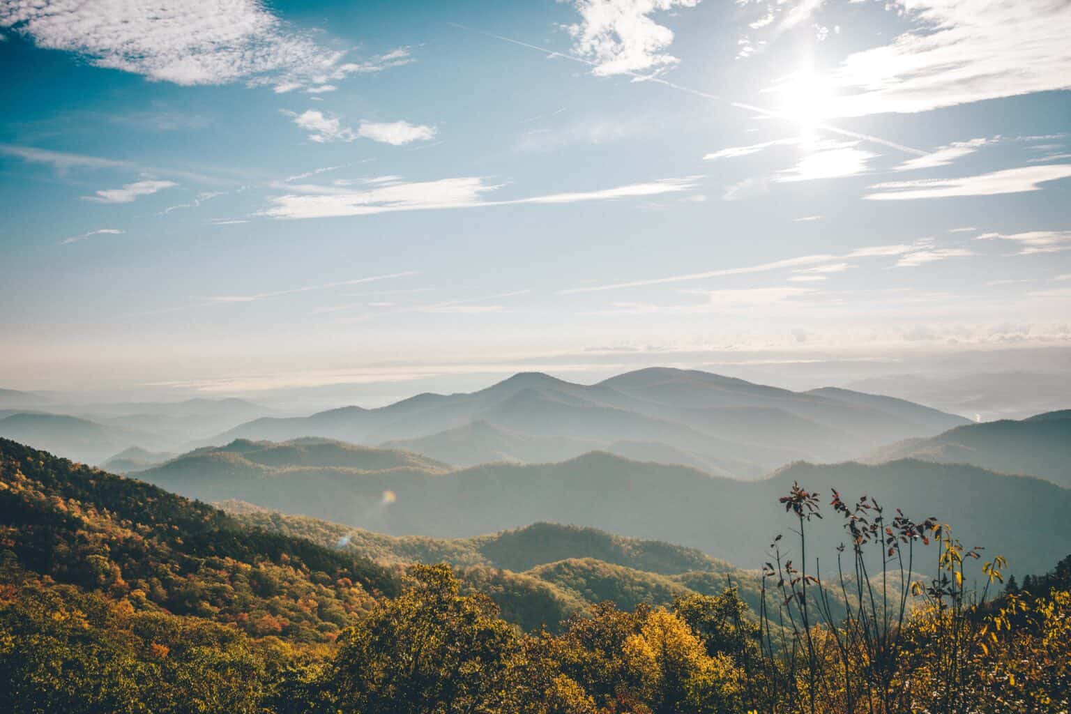 20242025 North Carolina Half Marathons Race Calendar