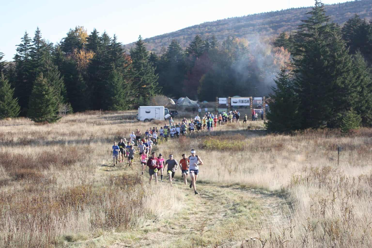 2025 West Virginia Half Marathon Calendar Half Marathon Guide