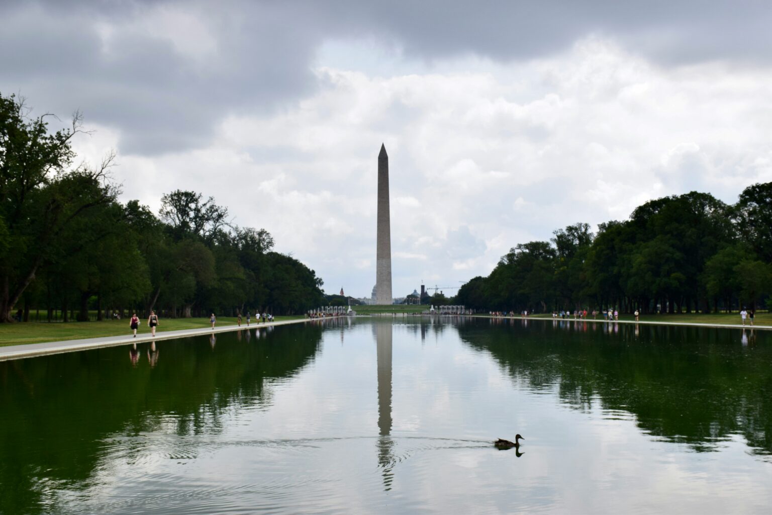 2025 Washington DC Half Marathon Calendar Half Marathon Guide
