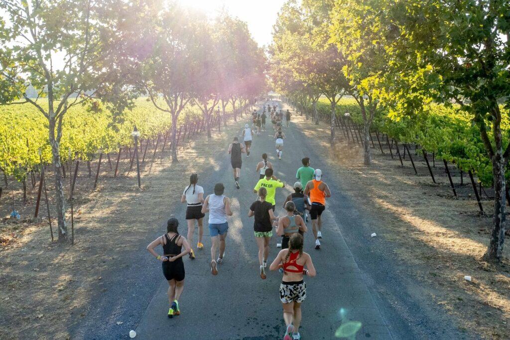 The Santa Rosa Marathon, Half Marathon, 10K & 5K