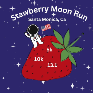 Summer Extravaganza Run