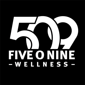 Run the 509 logo