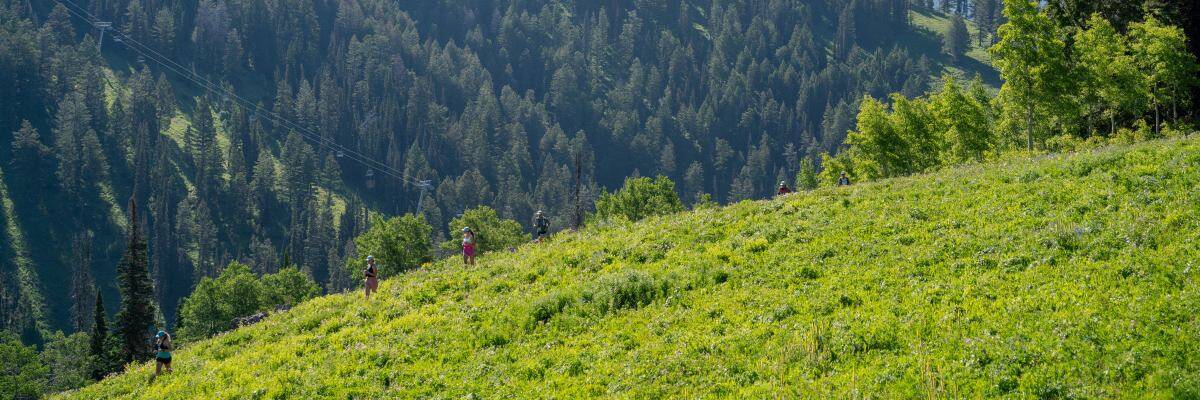 Grand Targhee Wildflower Run in Alta, WY scenery